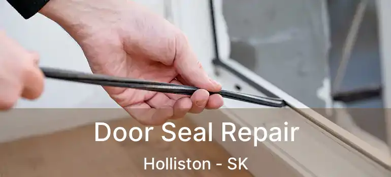  Door Seal Repair Holliston - SK