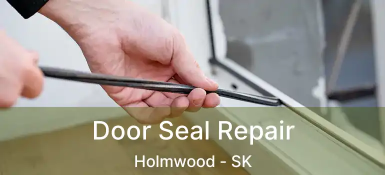  Door Seal Repair Holmwood - SK