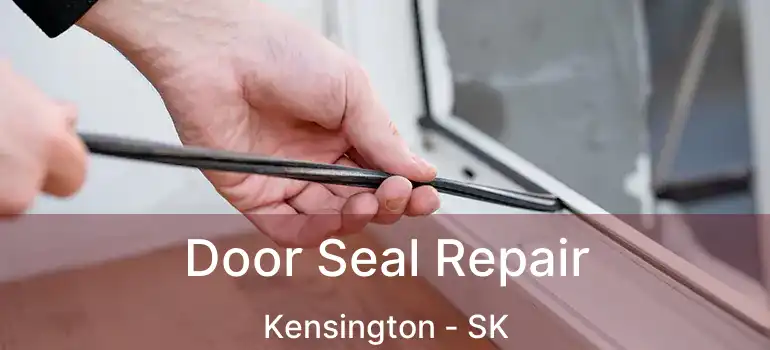  Door Seal Repair Kensington - SK