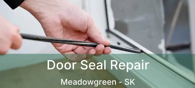  Door Seal Repair Meadowgreen - SK