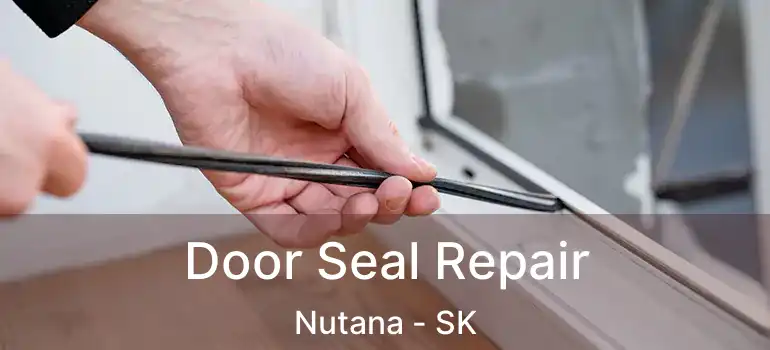  Door Seal Repair Nutana - SK