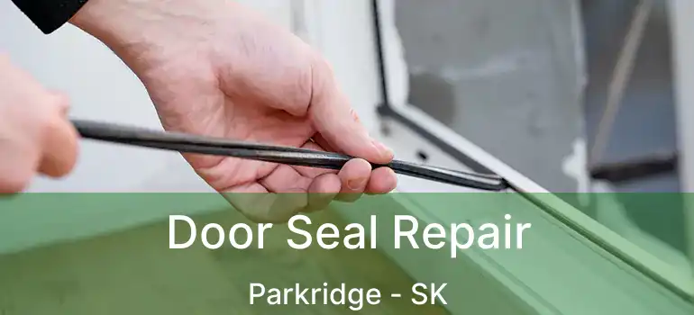  Door Seal Repair Parkridge - SK