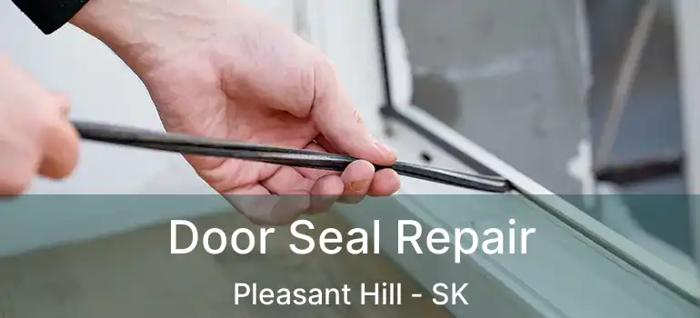  Door Seal Repair Pleasant Hill - SK