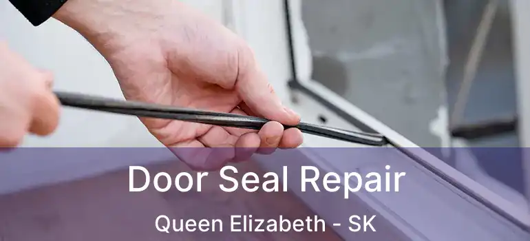  Door Seal Repair Queen Elizabeth - SK