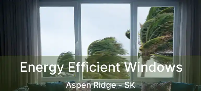  Energy Efficient Windows Aspen Ridge - SK