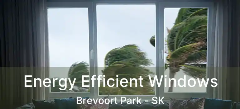  Energy Efficient Windows Brevoort Park - SK