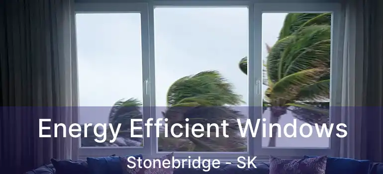  Energy Efficient Windows Stonebridge - SK