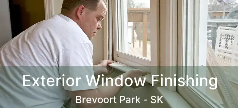  Exterior Window Finishing Brevoort Park - SK