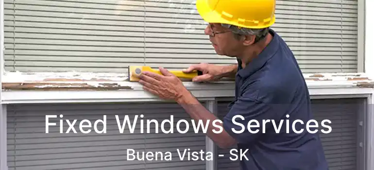  Fixed Windows Services Buena Vista - SK