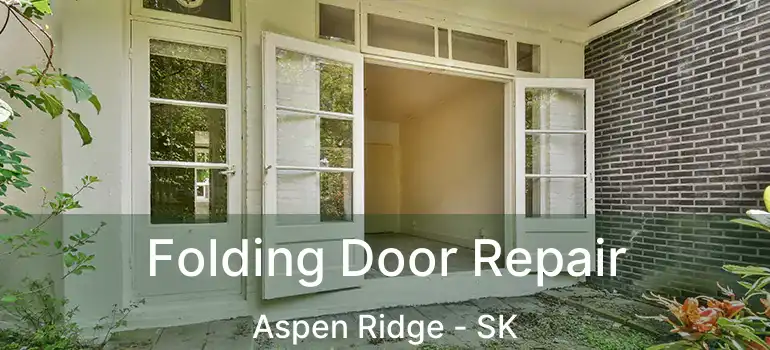  Folding Door Repair Aspen Ridge - SK