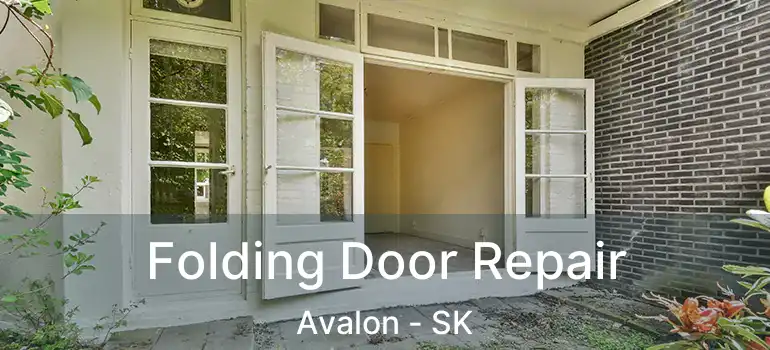  Folding Door Repair Avalon - SK