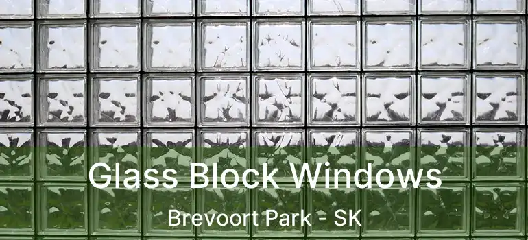  Glass Block Windows Brevoort Park - SK