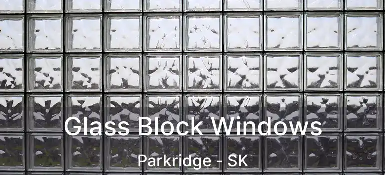  Glass Block Windows Parkridge - SK