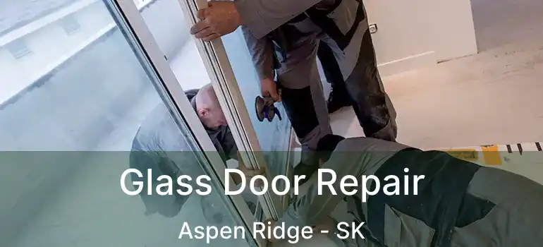  Glass Door Repair Aspen Ridge - SK