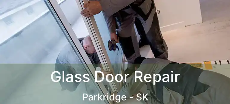  Glass Door Repair Parkridge - SK