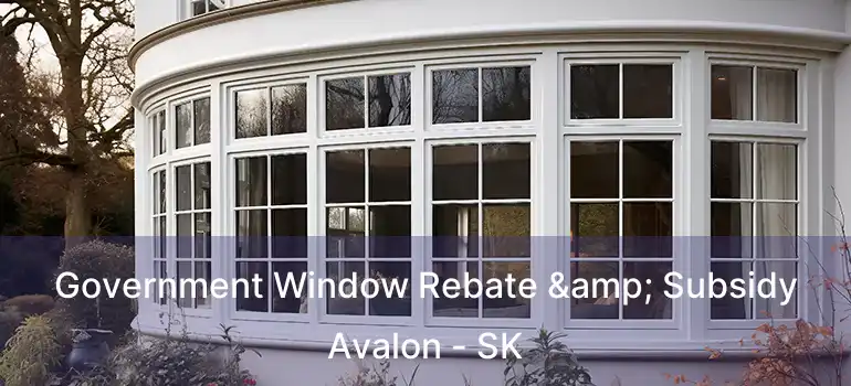  Government Window Rebate & Subsidy Avalon - SK