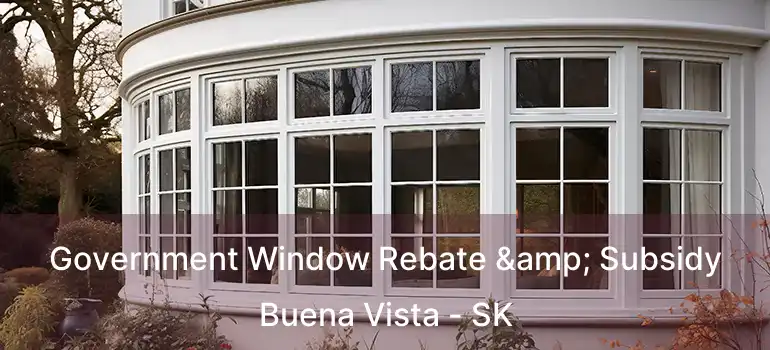  Government Window Rebate & Subsidy Buena Vista - SK