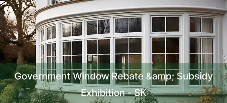  Government Window Rebate & Subsidy Exhibition - SK