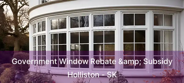  Government Window Rebate & Subsidy Holliston - SK