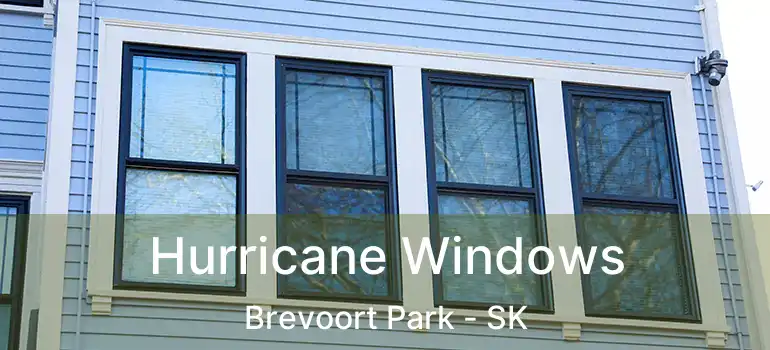  Hurricane Windows Brevoort Park - SK