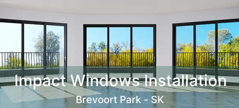  Impact Windows Installation Brevoort Park - SK