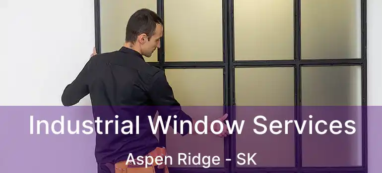  Industrial Window Services Aspen Ridge - SK