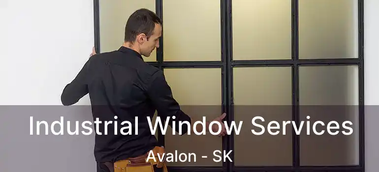  Industrial Window Services Avalon - SK