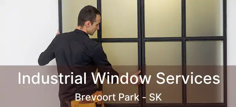  Industrial Window Services Brevoort Park - SK