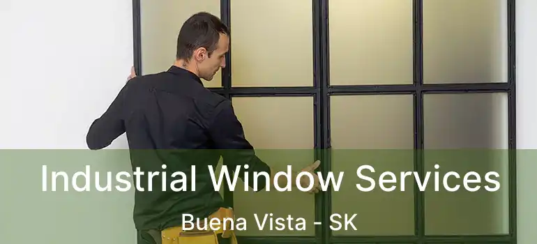  Industrial Window Services Buena Vista - SK