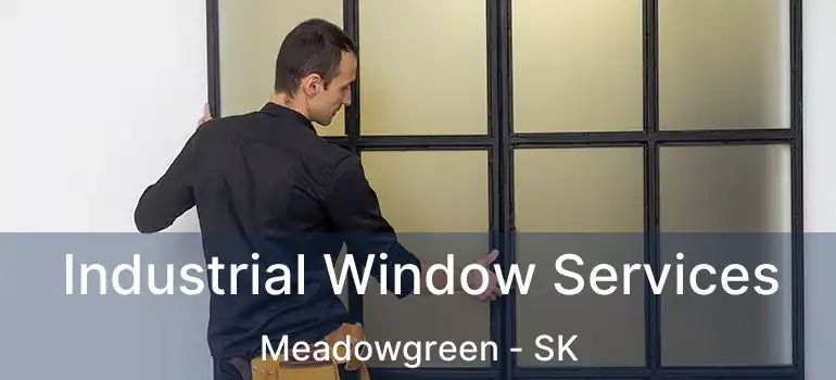  Industrial Window Services Meadowgreen - SK