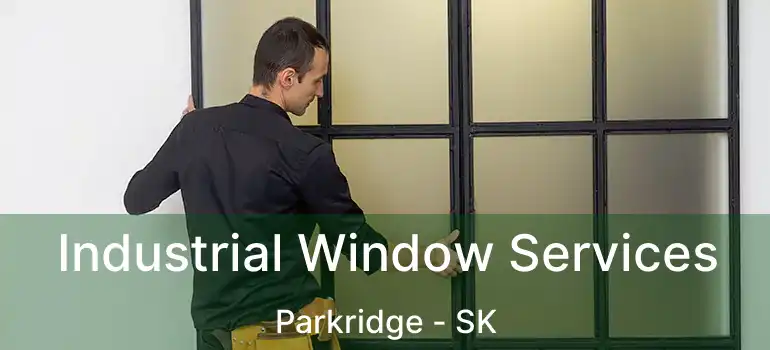  Industrial Window Services Parkridge - SK