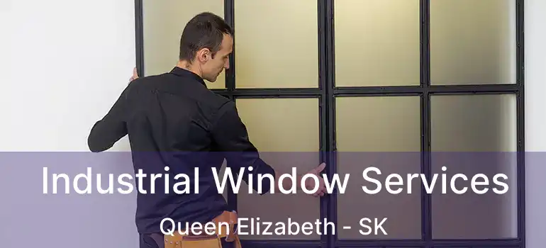  Industrial Window Services Queen Elizabeth - SK