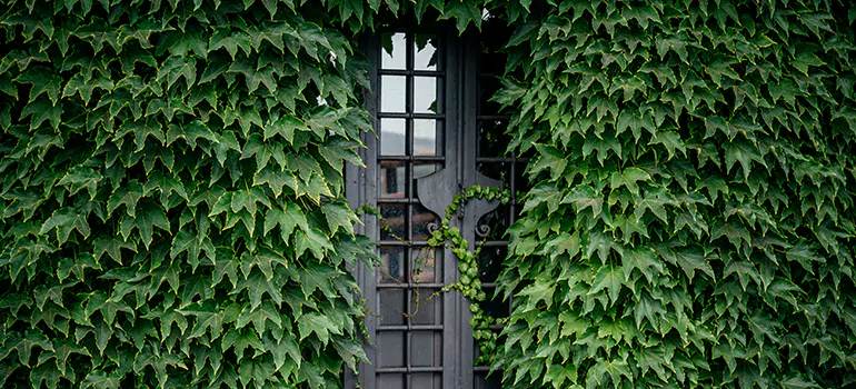 Garden Gate Repair in Grosvenor Park, SK