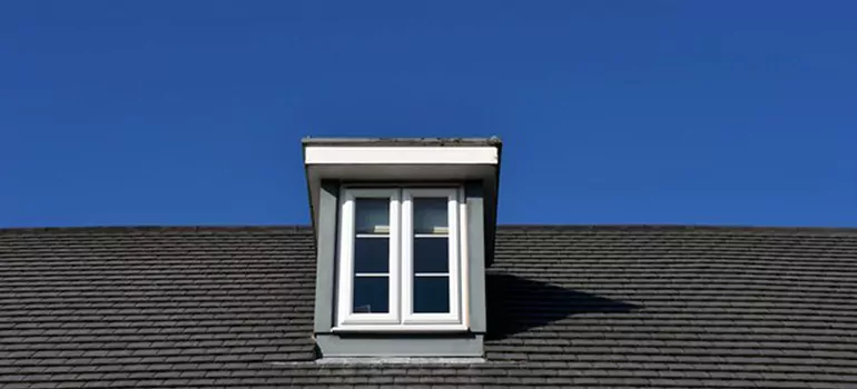 Roof Window Installation in Brevoort Park, SK