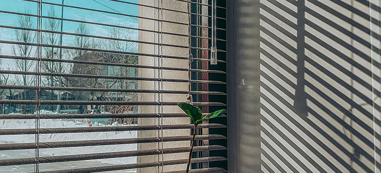 Commercial Window Blinds in University Heights, SK