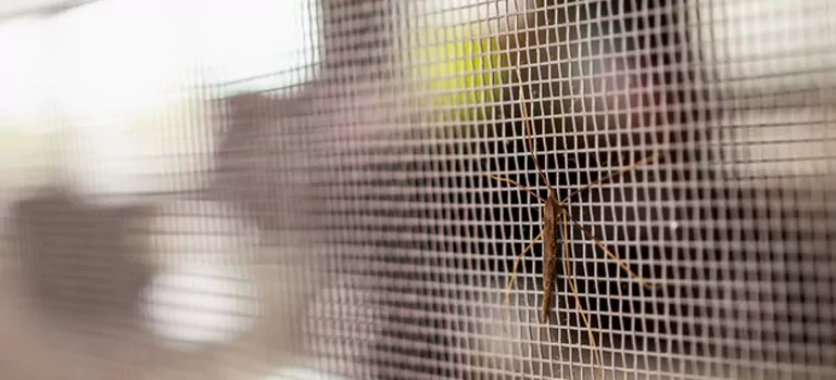 Repair Mosquito Mesh For Windows in Exhibition, Saskatchewan