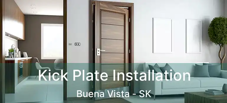  Kick Plate Installation Buena Vista - SK