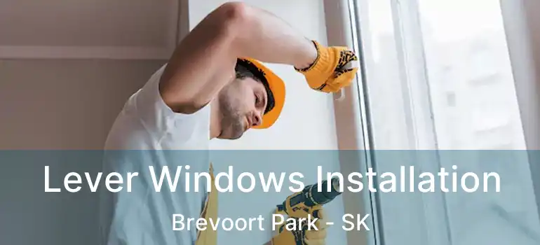  Lever Windows Installation Brevoort Park - SK