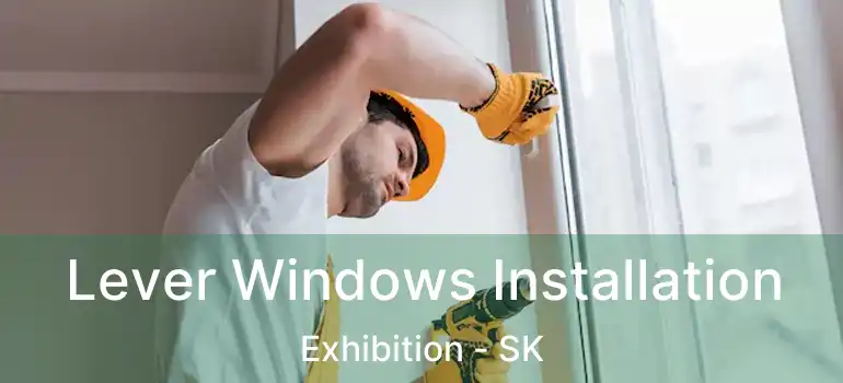  Lever Windows Installation Exhibition - SK