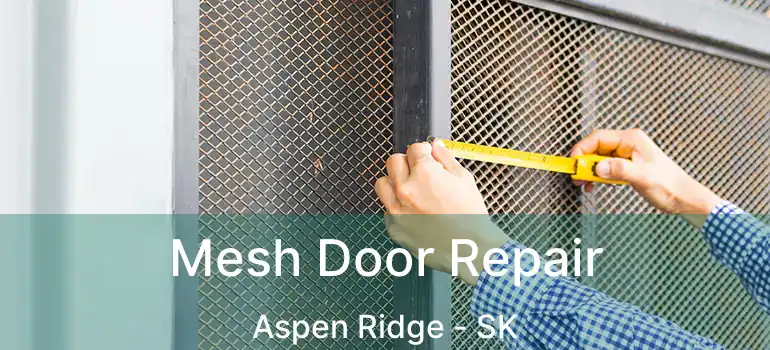  Mesh Door Repair Aspen Ridge - SK