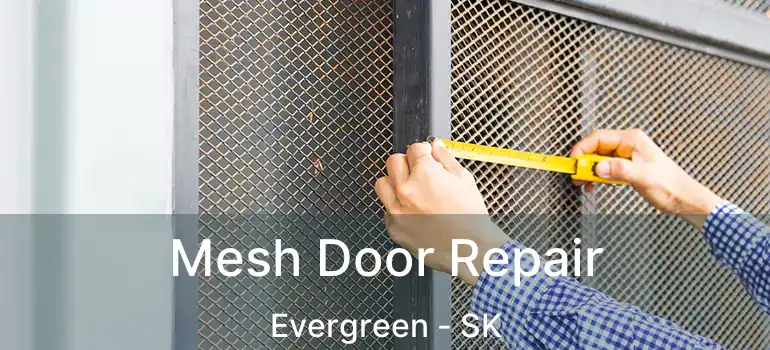  Mesh Door Repair Evergreen - SK