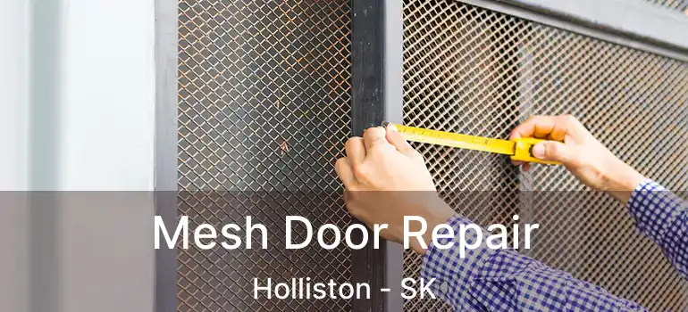  Mesh Door Repair Holliston - SK