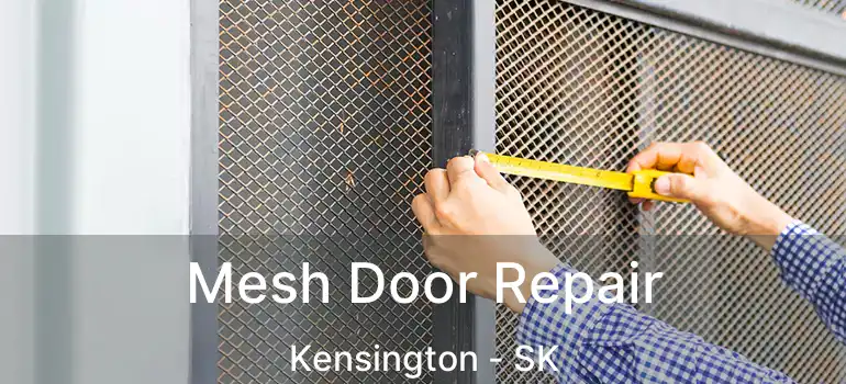  Mesh Door Repair Kensington - SK