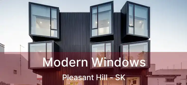  Modern Windows Pleasant Hill - SK