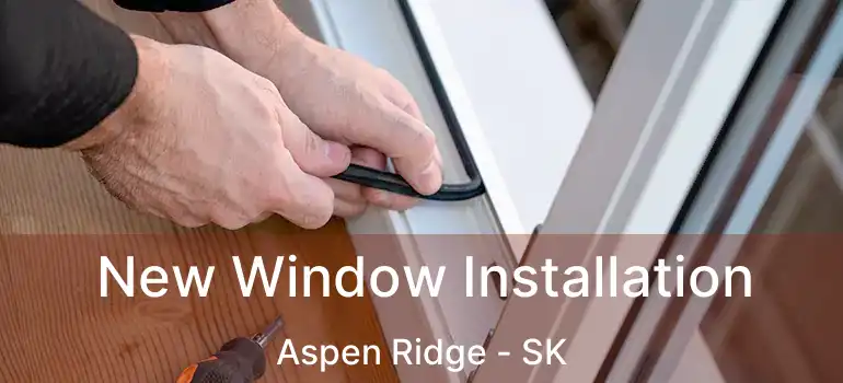  New Window Installation Aspen Ridge - SK