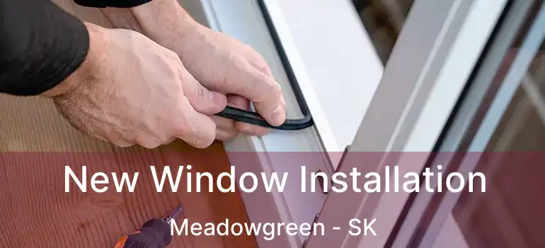  New Window Installation Meadowgreen - SK