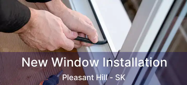  New Window Installation Pleasant Hill - SK