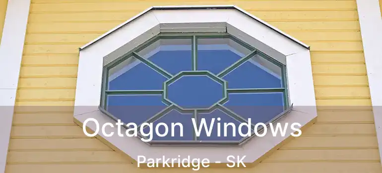  Octagon Windows Parkridge - SK