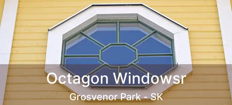  Octagon Windowsr Grosvenor Park - SK