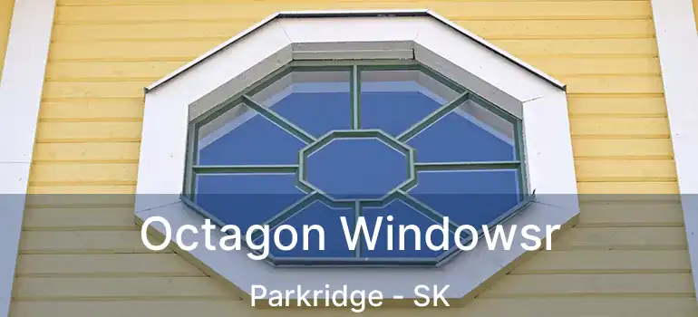  Octagon Windowsr Parkridge - SK